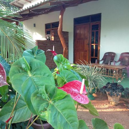 Amaya River Side Homestay Сігірія Екстер'єр фото