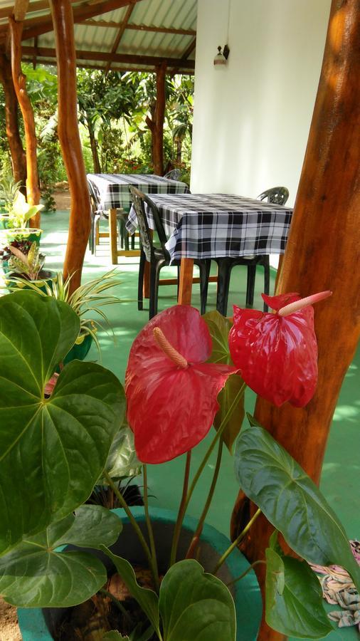 Amaya River Side Homestay Сігірія Екстер'єр фото